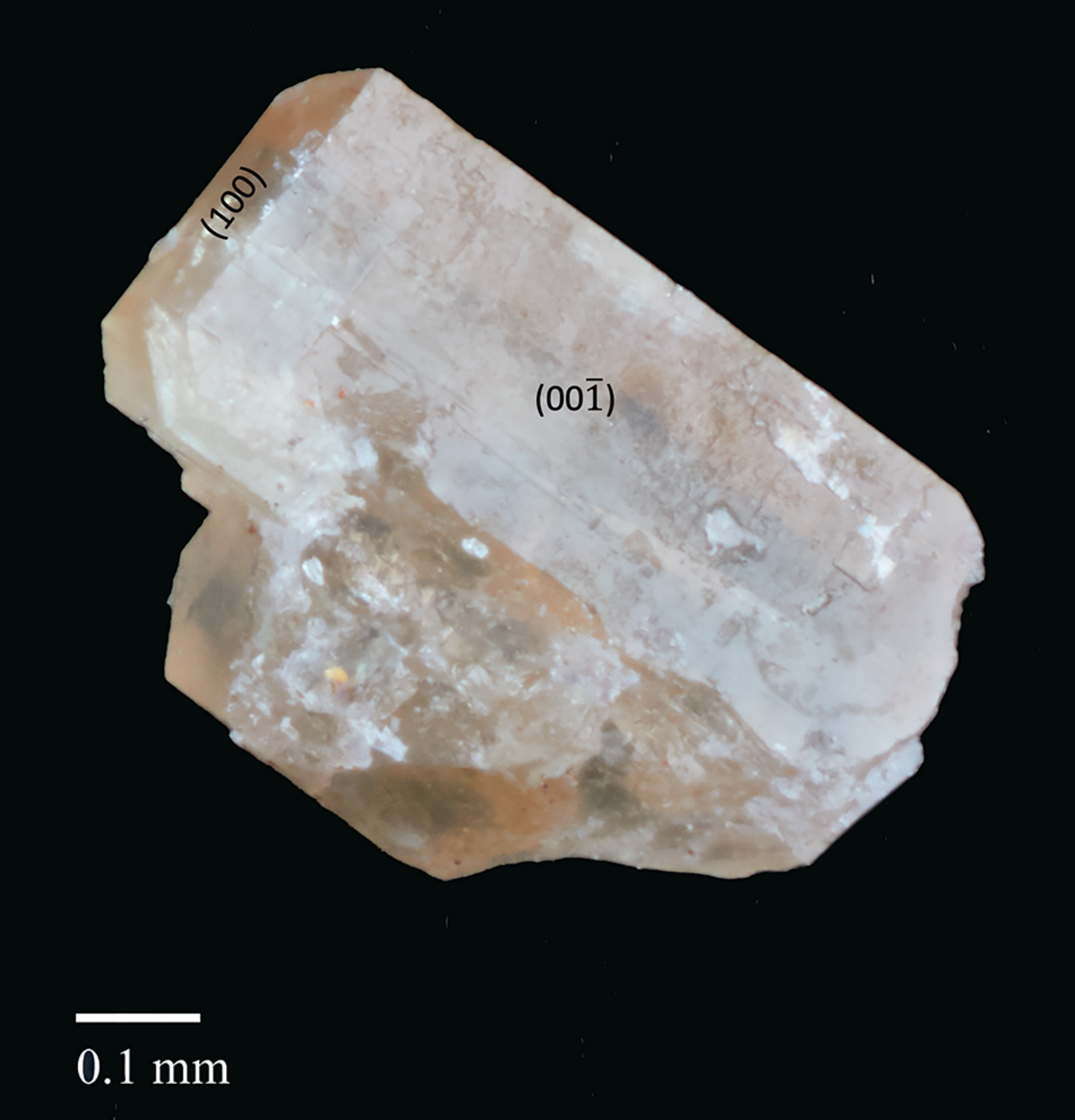 Anorthoyttrialite-(Y)