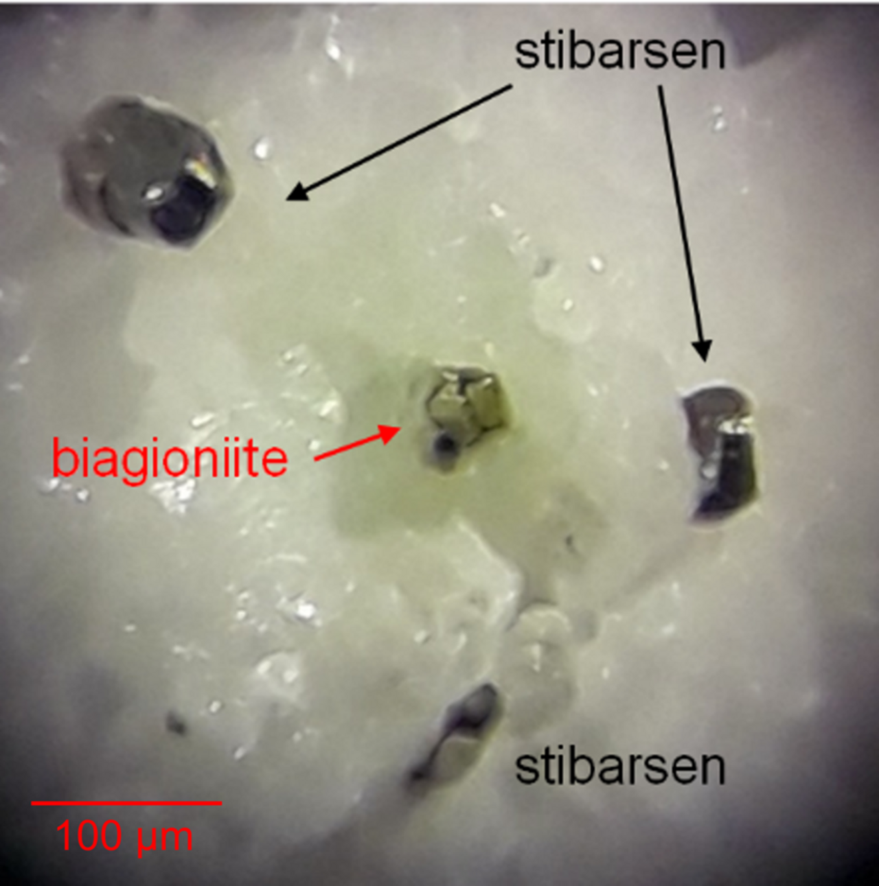 Biagioniite