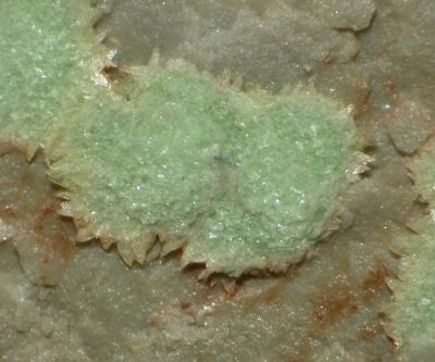 Abernathyite