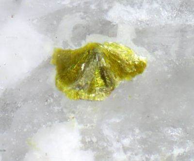 Alcantarillaite
