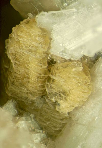Alicewilsonite-(YCe)
