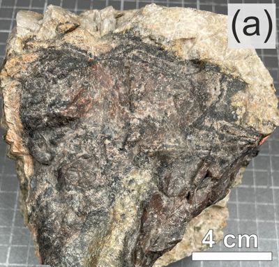 Allanite-(Y)