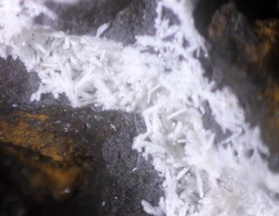 Angastonite