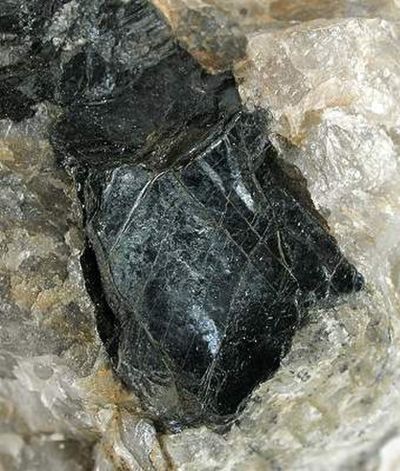 Annite