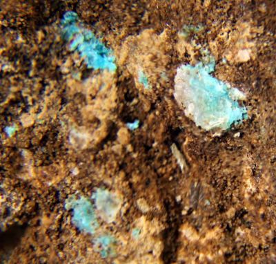 Antipinite
