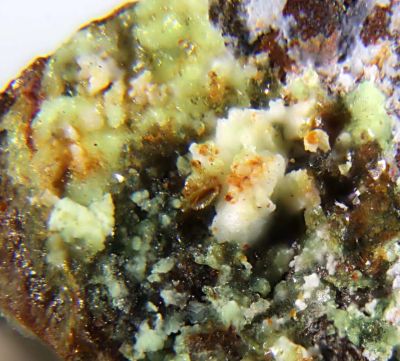 Apexite