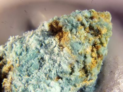 Aubertite
