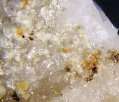 Balipholite