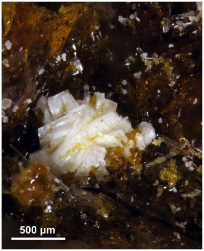 Batoniite