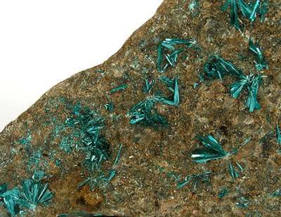 Botallackite