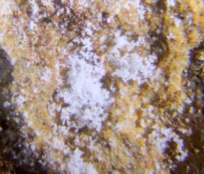 Boyleite