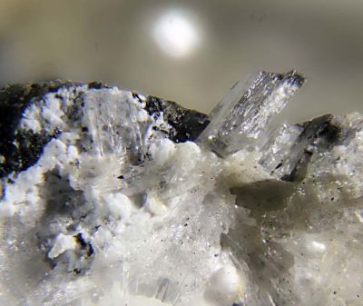 Brassite