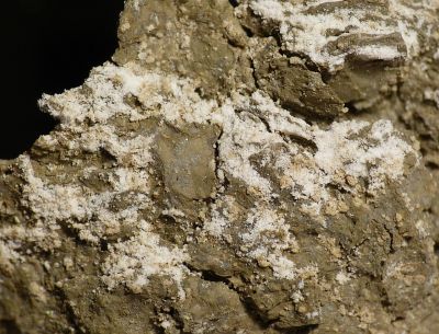 Brushite