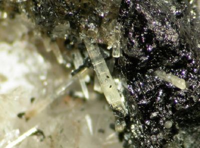 Burbankite