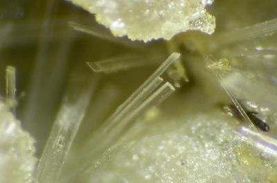 Cervantite