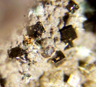 Eddavidite