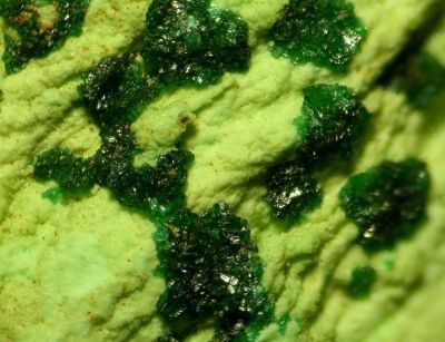 Gillardite