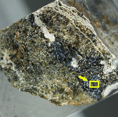 Harmunite