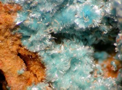 Serpierite