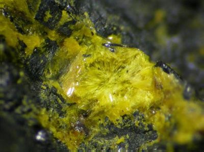 Uranopilite