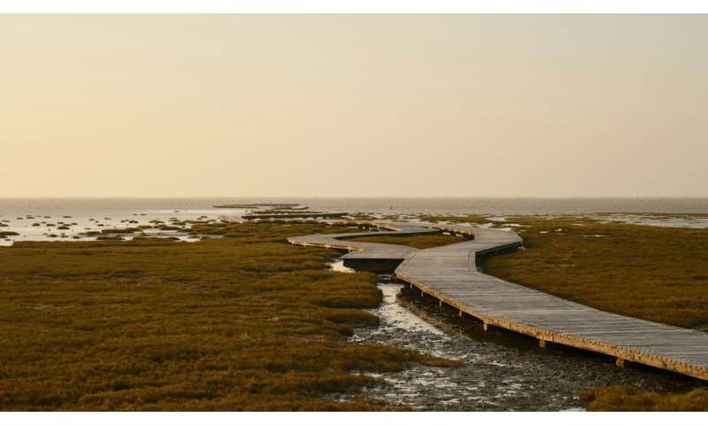 New study pinpoints Europe's most critical wetlands for climate action