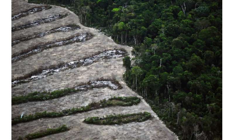 Amazon soy pact collapse could add 1.4 million hectares of deforestation by 2036