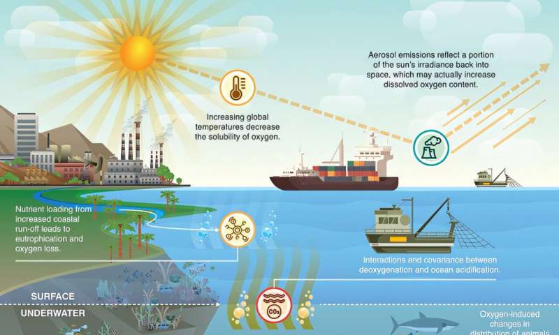 Underwater oxygen loss threatens earth's stability, researchers warn